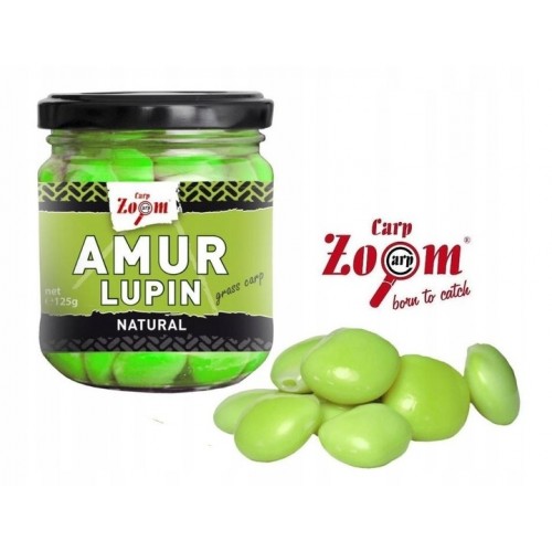 Stambios lubinų sėklos amūram